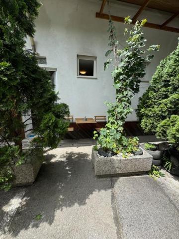 卢布尔雅那Cozy Flat Near Tivoli Park With Free Parking公寓 外观 照片